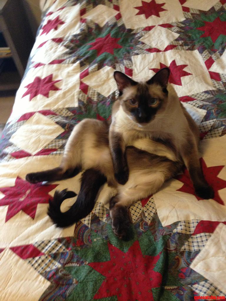 Seduction Level -6900