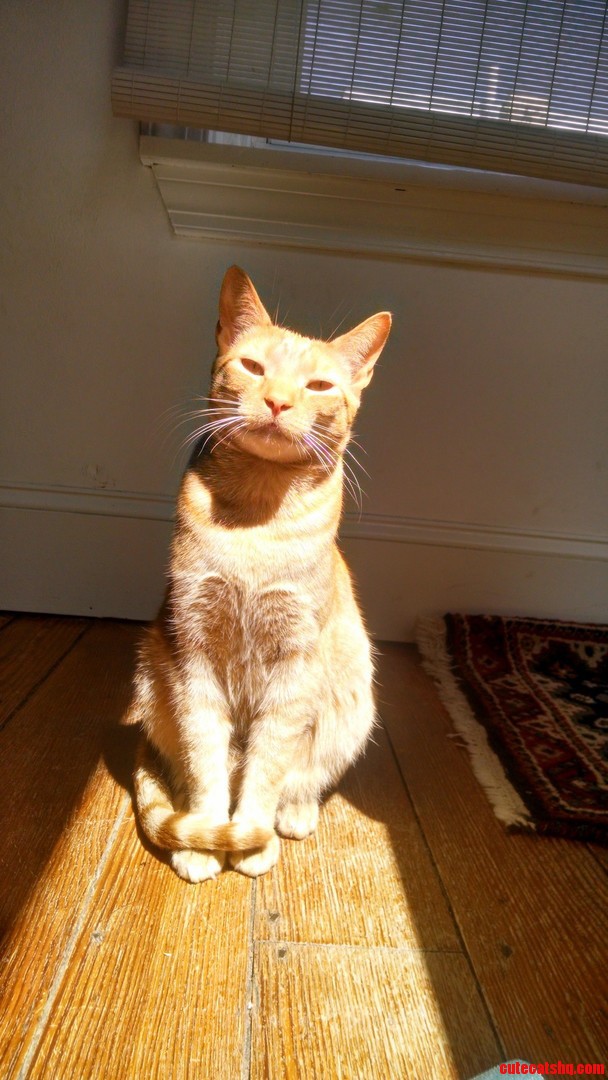 His Name Is Sunny