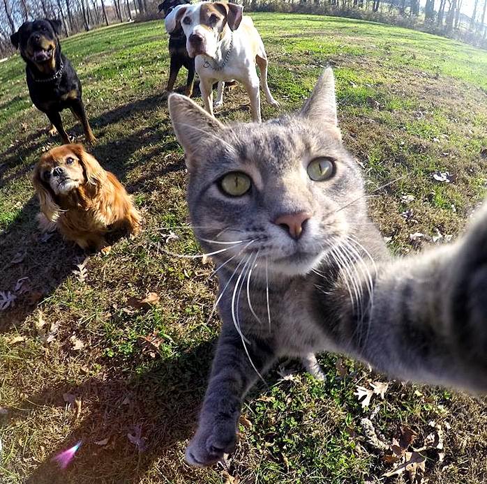 Lets take a selfie..