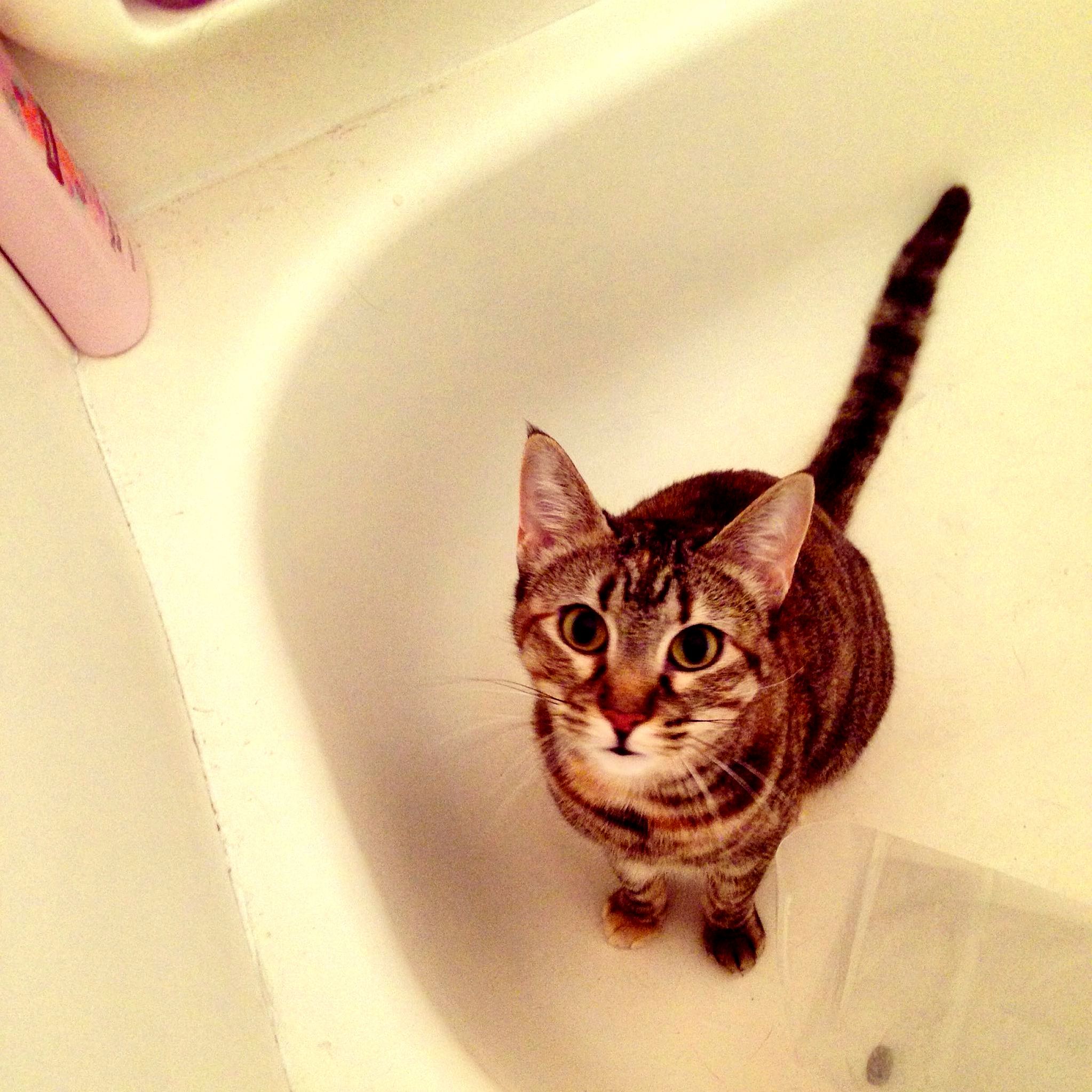 She loves playing in the tub.
