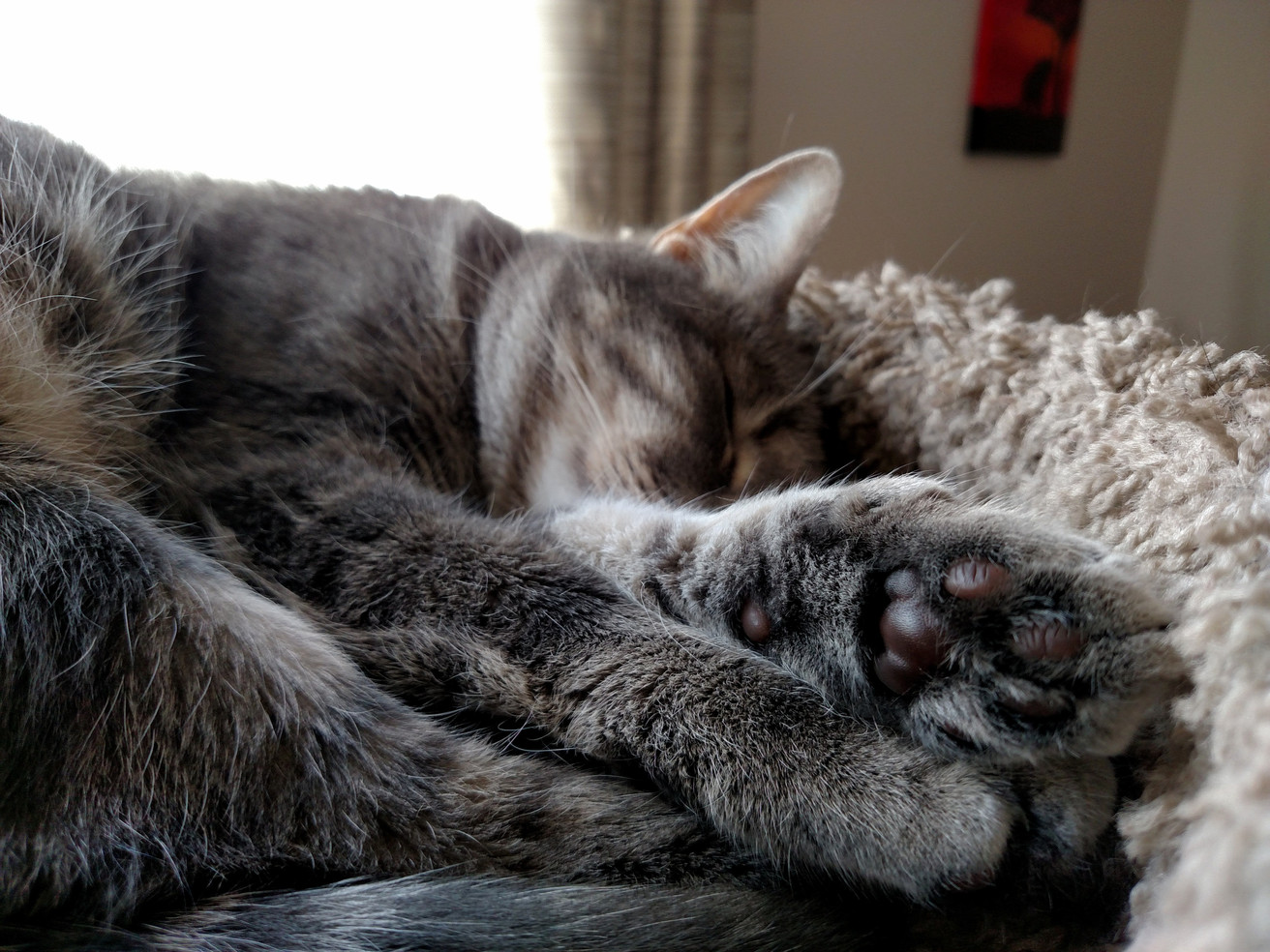 Olive and her purple jellybeans