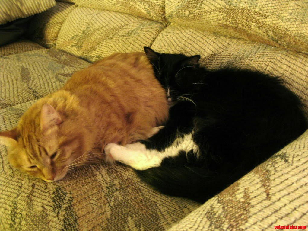 Just Sleeping