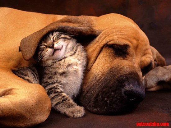 Unusual Friends
