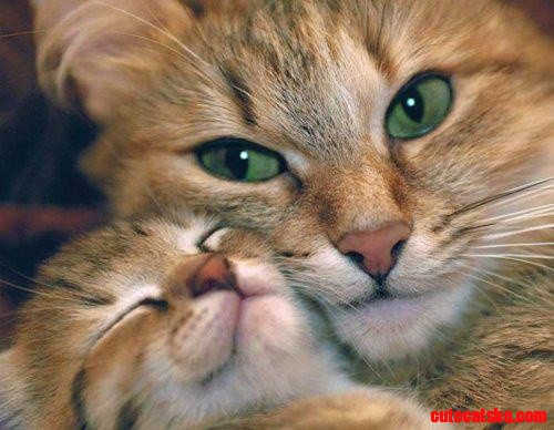 Awww!!!