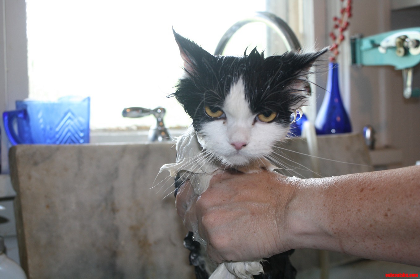 Bath Time
