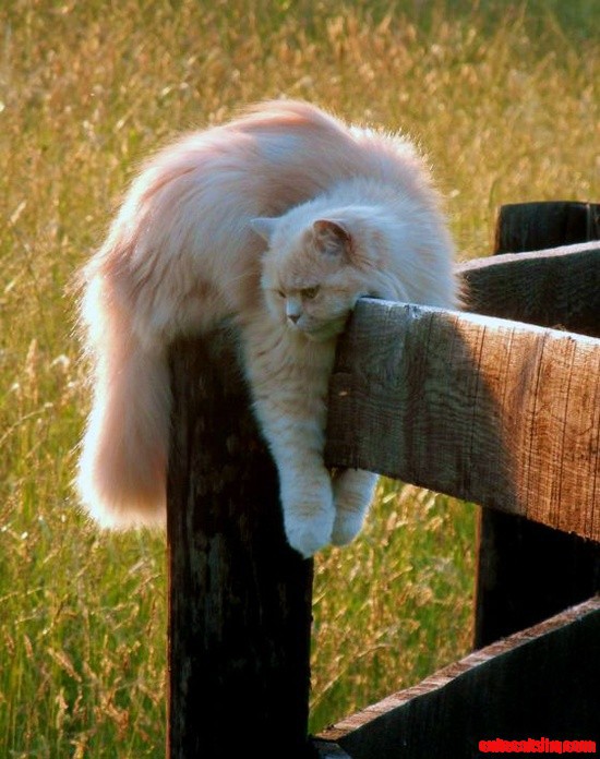 Butters Likes to Hang Out, Eep! So Cute!