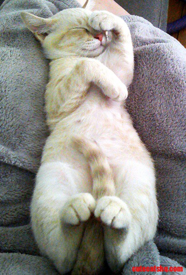 Can You Please Turn Off the Light???