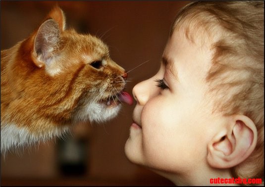 Cat and a Boy