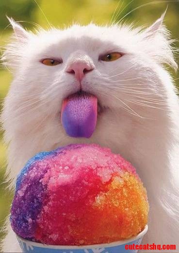 Colorful Lick