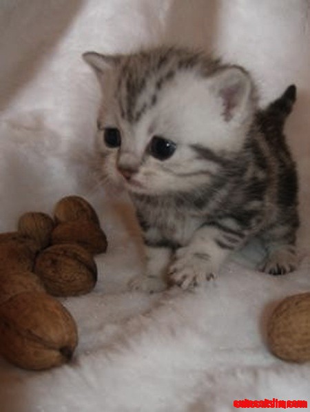 Cuuute<3