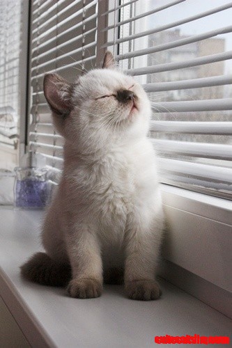 Dang It's Bright