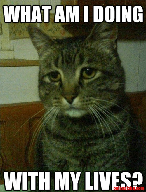 Depressed Cat Is Depressed