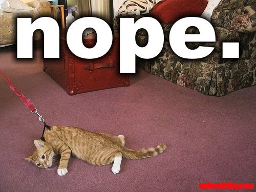 Ellie Says....