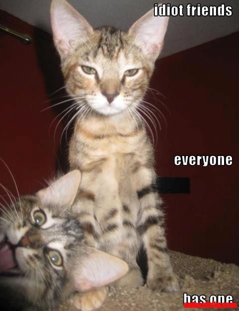Everyone Has One