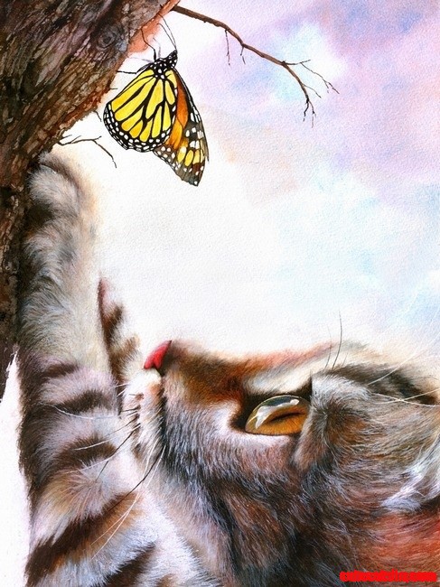 Fascination by Peter Williams