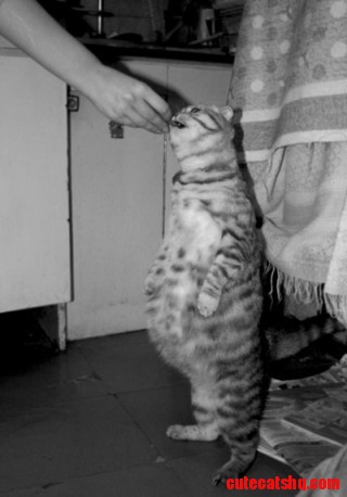Frankie Does This!!