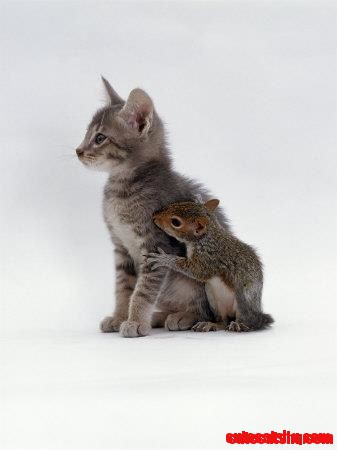Friends