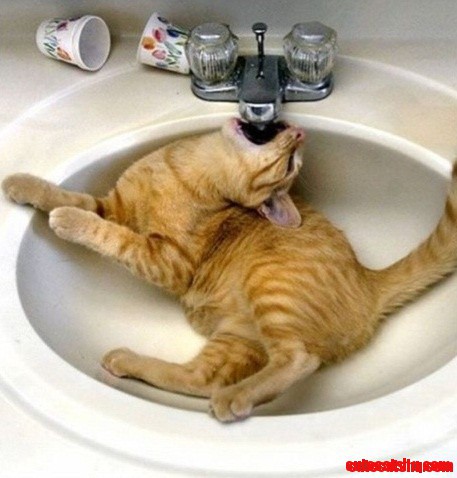 Funny...
