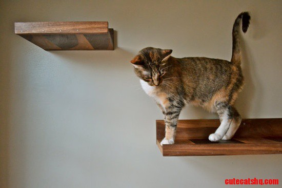 Give Your Kitties Rule of the Rafters with These Walnut Cat Shelves.