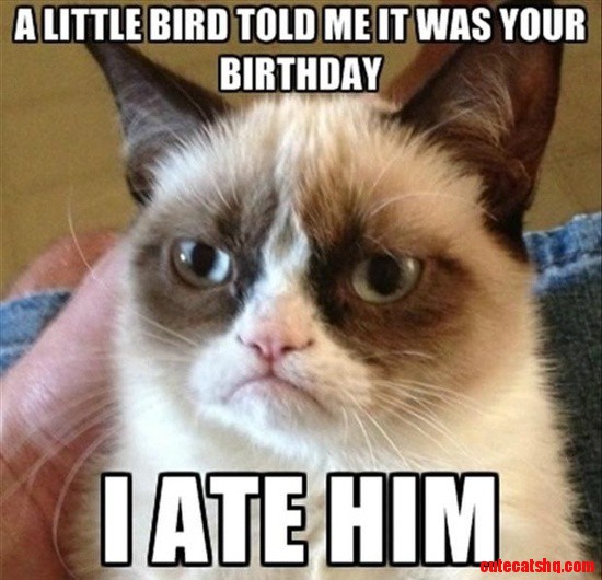 Grumpy Cat Statement