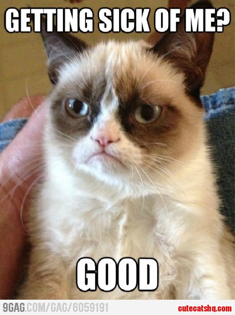 Grumpy Cat Doesnt Care!