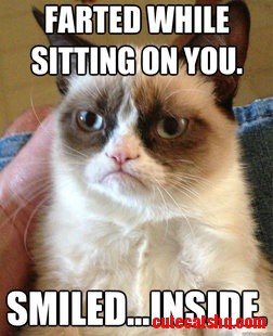 Grumpy Cat
