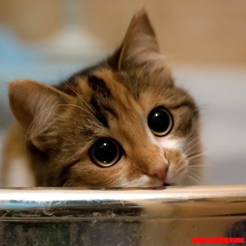 Hi8ofd~d
