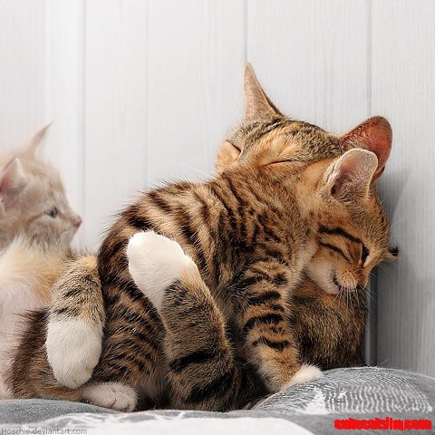 Hugs! Melts My Heart.