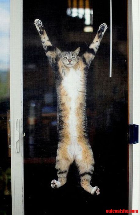 Hang in There!  :D
