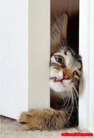 Heeellllp!