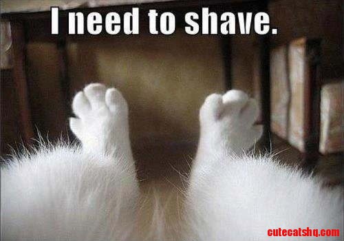 How I Feel About Spring...