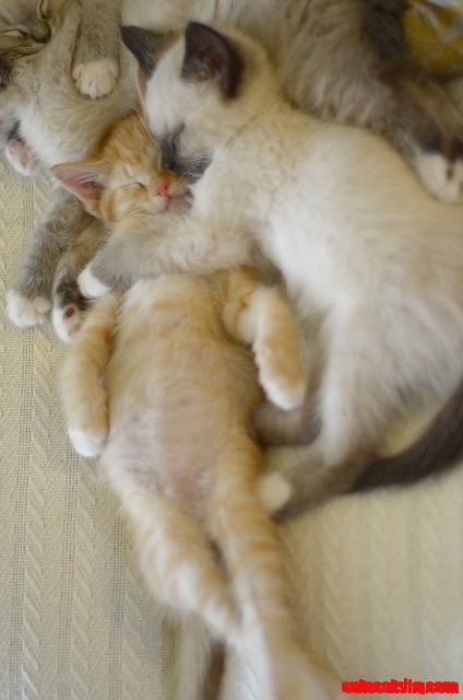 Hugs