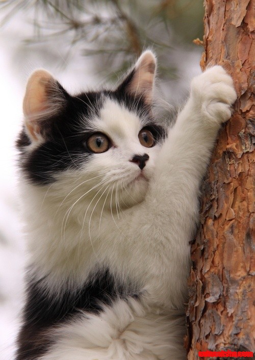 I Love This Little Guy. He's Holding for Dear Life!