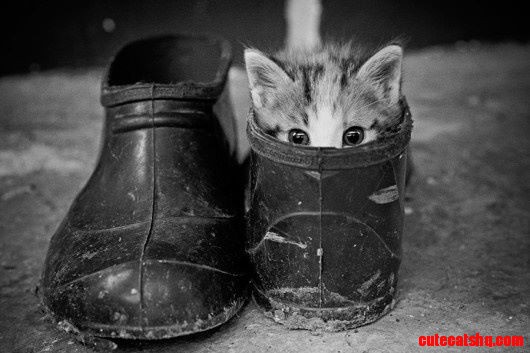 I See You!