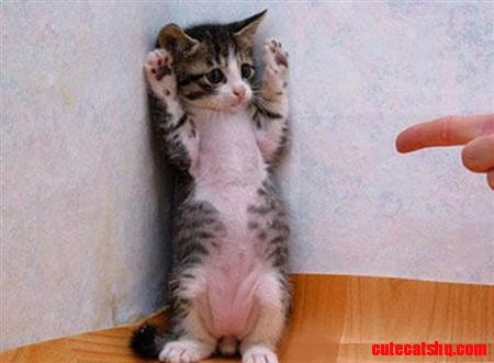 I Surrender