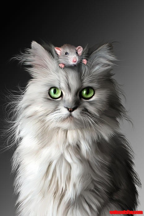 I Taut I Taw a Puddytat...lol