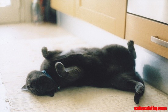 Just Sleeping