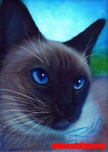 L Risor Cat
