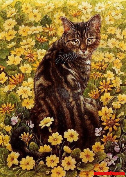 Lesley Anne Ivory