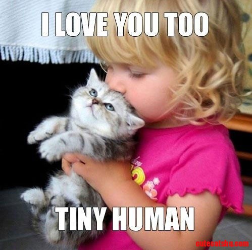 Love You Kitty
