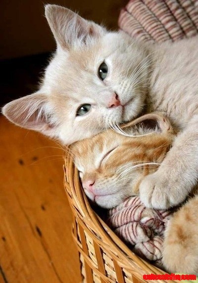 Lovely...