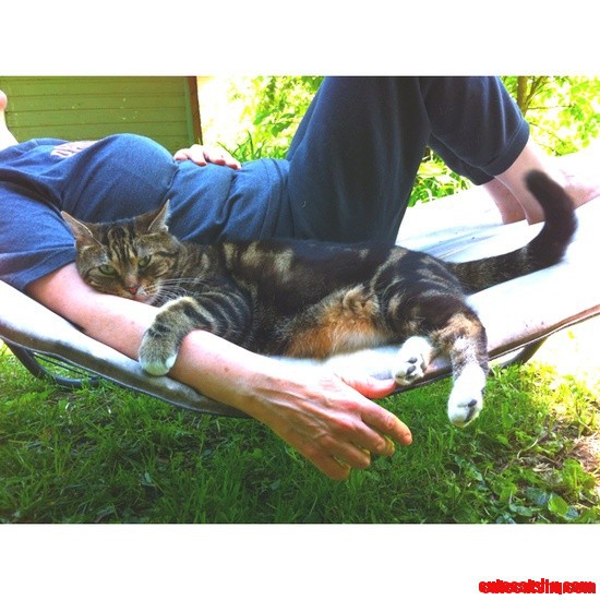 Mer the Cat Knows Where Its At! and I Obviously Need to Get a Hammock.
