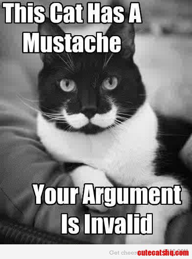 Mustache Cat