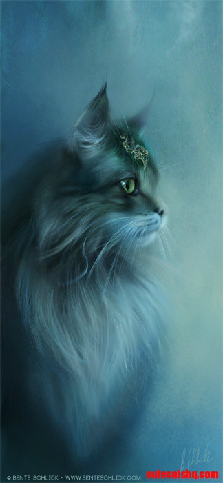 Noble Cat