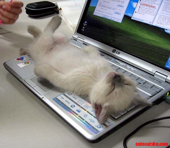 No,you Cant Work Now