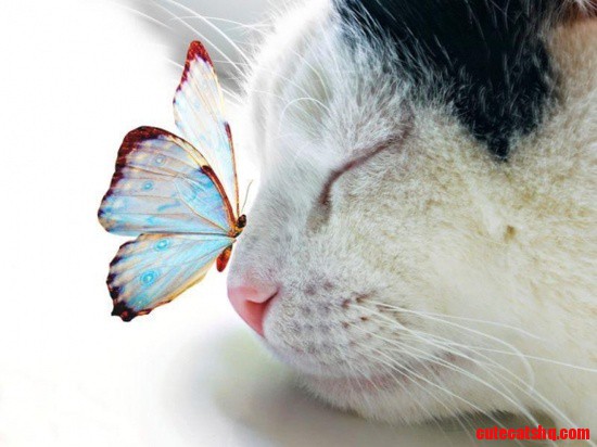Our Beautiful World