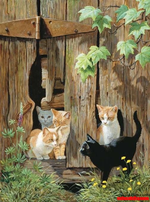 Persis Clayton Weirs