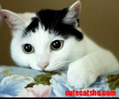 Pretty Face!