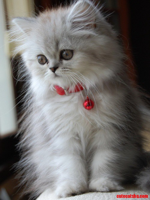 So Pretty!