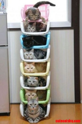 Stackables